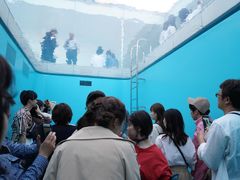 -金泽21世纪美术馆