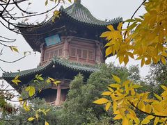 -迎泽公园