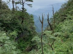 -峨眉山风景名胜区