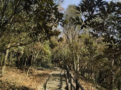 -上海佘山国家森林公园天马山园