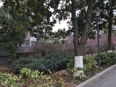 -太子山公园(园东路)