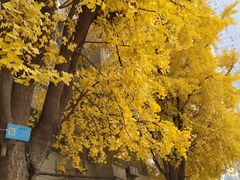 -四川大学华西医院-地下停车场