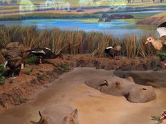 -陕西自然博物馆