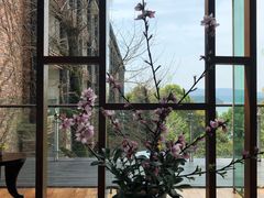 -逸廊大堂吧-下午茶·简餐-千岛湖自由洲际殿