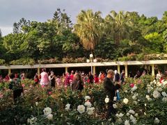 -人民公园(罗湖区)