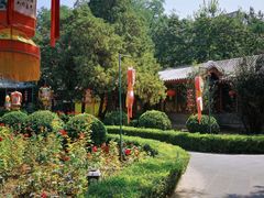 -白家大院·王府宫廷菜(苏州街店)