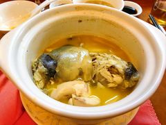 -长顺河豚馆(江洲东路)