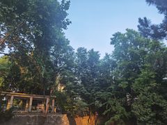 -西安市纺织公园