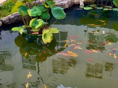 -马头巷·食景园(苏州总店)