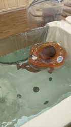 -金月汇月子会所(江门店)