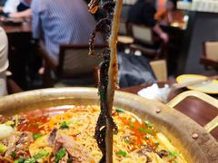 -张翻越·川渝冒菜·武汉黑鸭煲(城北万象城店)