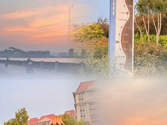 -星光岛
