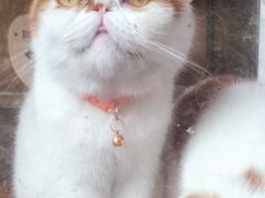 -花苑里咖啡(威远店)