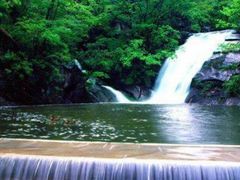 -内乡宝天曼生态旅游区