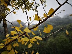 -娄山关景区