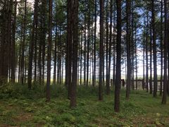 -塞罕坝国家级自然保护区