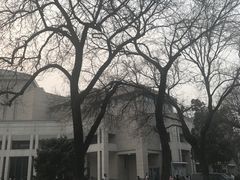 -北京大学百年讲堂