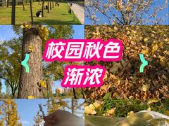 -迎泽公园