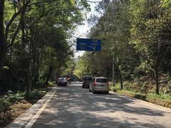 -铁山坪森林公园