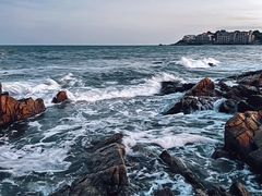 -北戴河转鱼·炒螃蟹酱餐厅