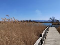 -野鸭湖国家湿地公园