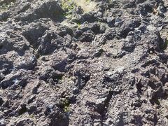 -海口火山口国家地质公园
