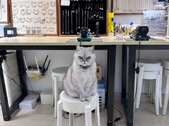 -Oasis绿洲银饰珍珠手作diy(壹方城店)