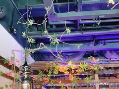 -枚青·临安酒肆(腾飞大厦店)