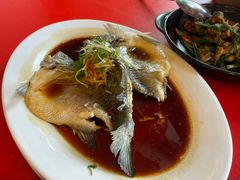 -大树下海鲜饭店