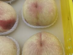 -老袁家蜜桃农场·阳山水蜜桃