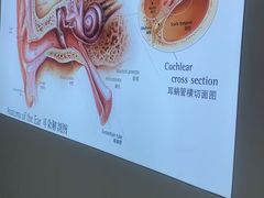 -自然之声助听器·呼吸机(康桥旗舰店)