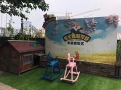 留影区-柴犬高等学院·狗咖·柴犬售卖·宠物训练