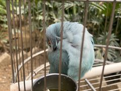 -南宫五洲植物乐园