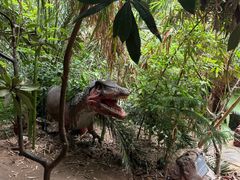 -呀路古热带植物园