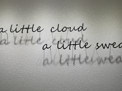 -一只小云朵a little cloud