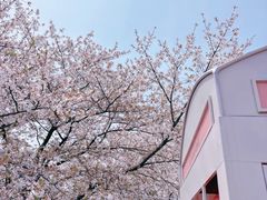 -上海辰山植物园