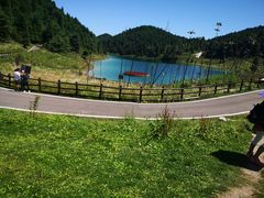 -武陵山森林公园