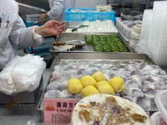 -沈大成(南京东路店)