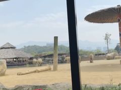 -杭州野生动物世界