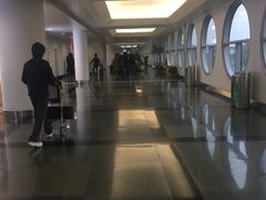 -厦门高崎国际机场-T3航站楼