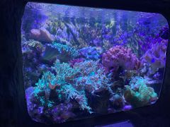 -杭州长乔极地海洋公园