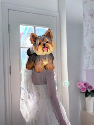 -WAVE SODA摄影工作室