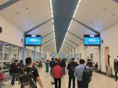 -班达拉奈克国际机场