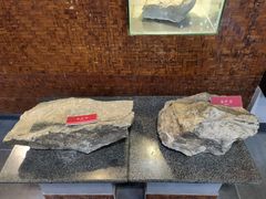 -遂昌金矿国家矿山公园