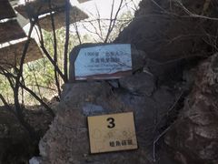 -周口店北京人遗址公园