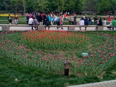 -长春公园(普阳街道)