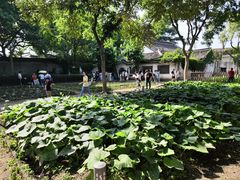 -绍兴鲁迅故里·沈园景区