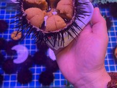-桃源市场(解放路店)