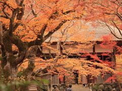 -常寂光寺