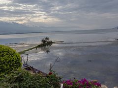 -野菌皇海景野生菌火锅(滨海大道店)